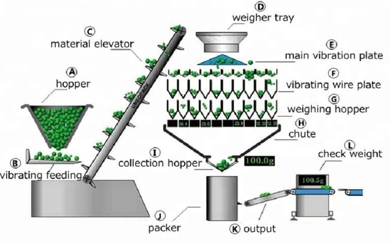 10 Head Weighing and Packing Machine Multihead Combination Weigher Sheet Food Packaging Machine